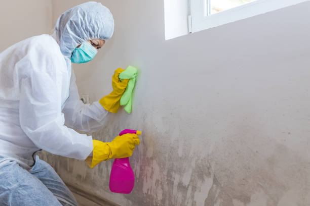 Best Forensic Mold Investigation  in Winter Haven, FL